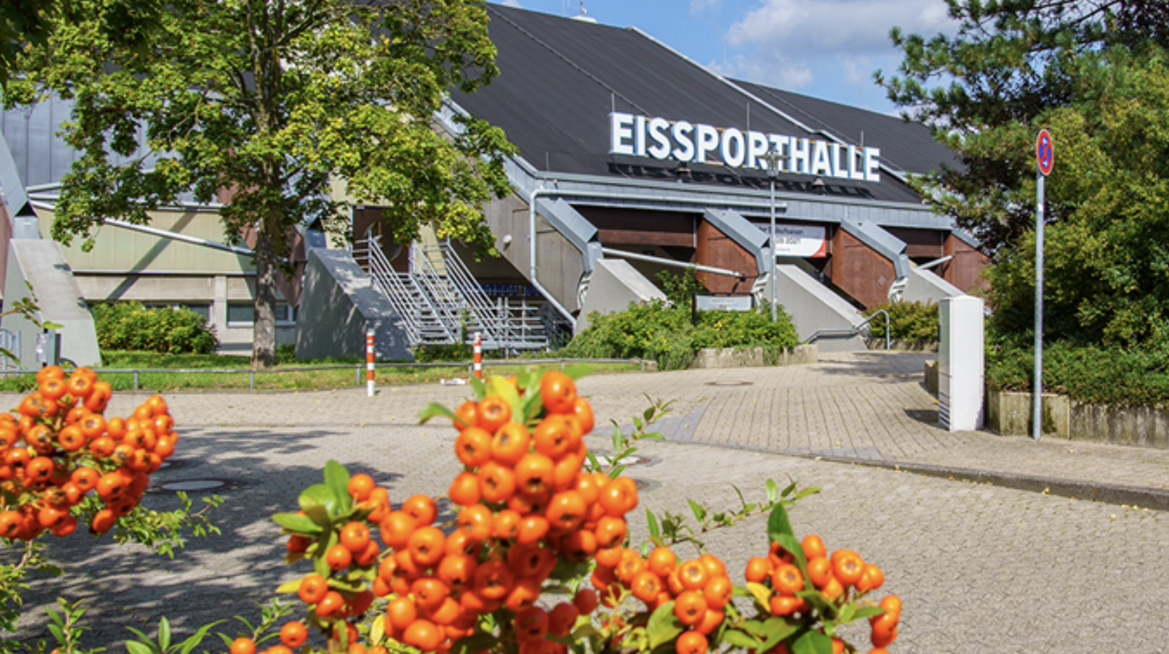 Internationale Rassekatzenausstellung